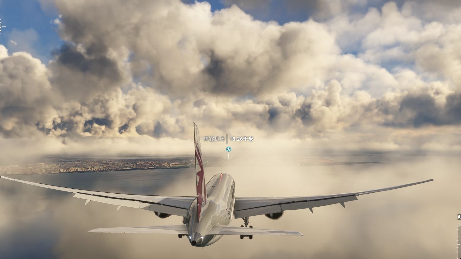 模拟飞行2020不同版本(模拟飞行2020不同版本区别)