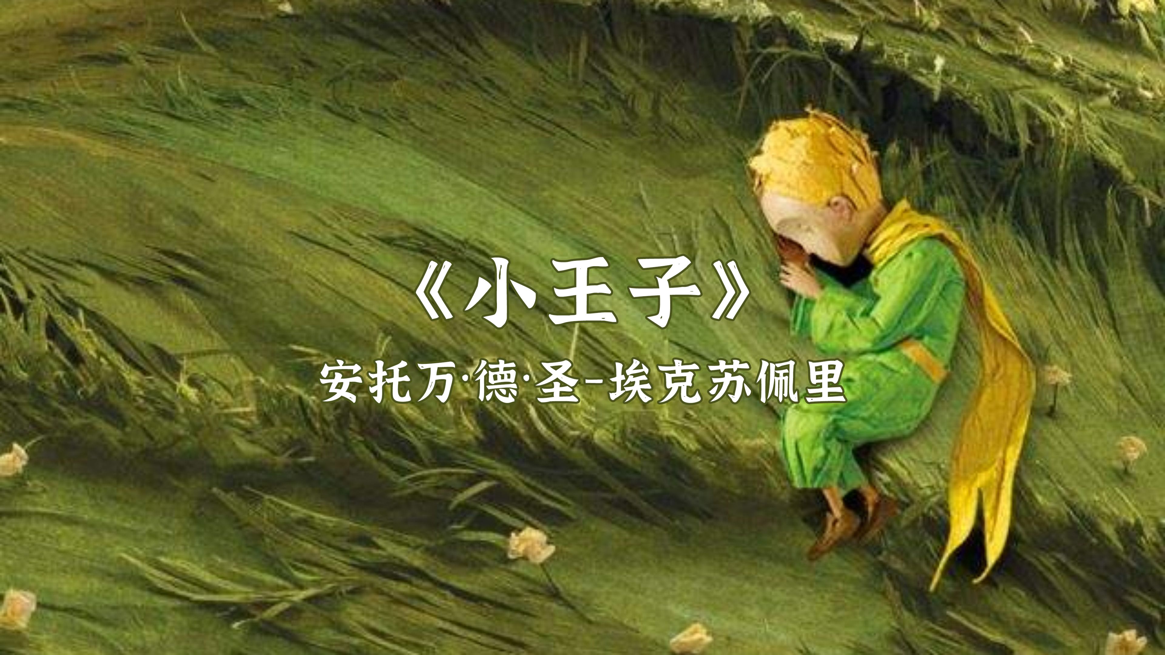 精灵王国的小王子(精灵王国的小王子怎么画)