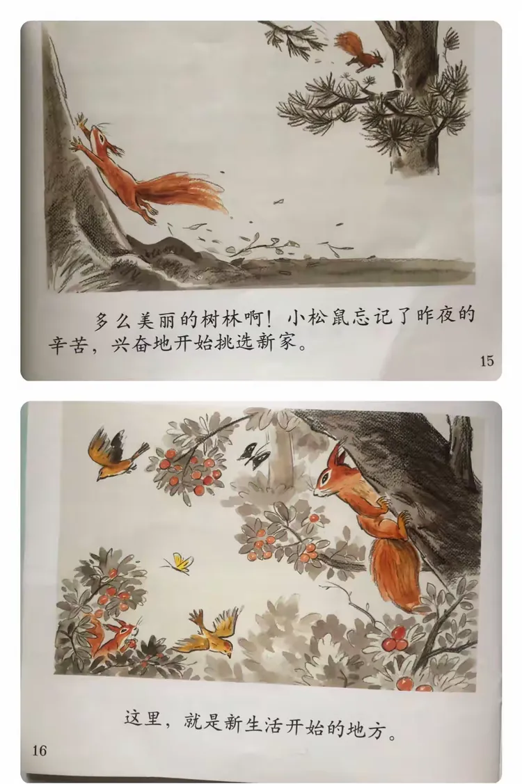 拯救小松鼠逃脱攻略(拯救小松鼠逃脱攻略大全)