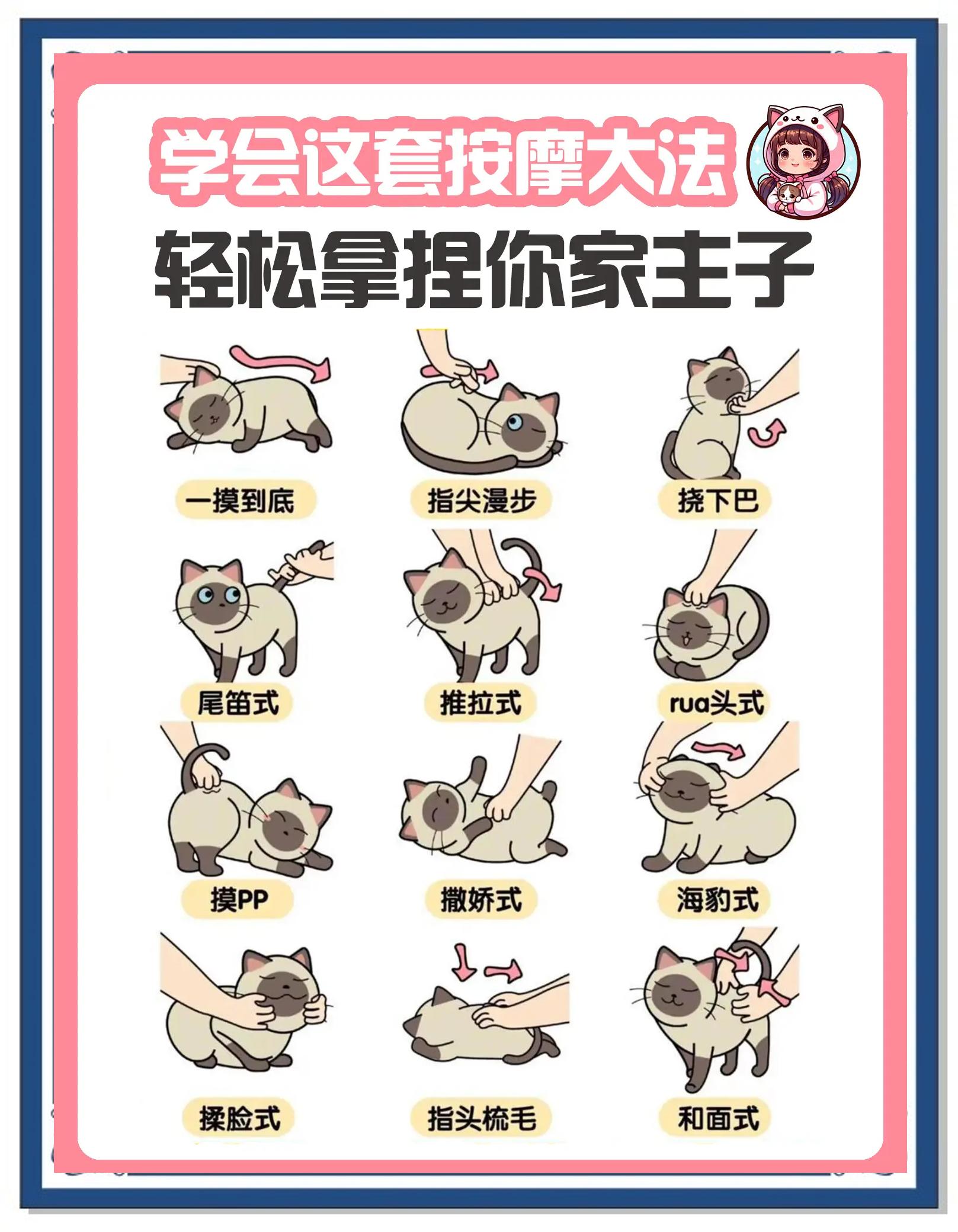 猫咪向前冲攻略(猫咪向前冲攻略大全)