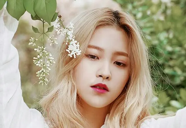 exo相亲记攻略(相亲攻略手册免费阅读)