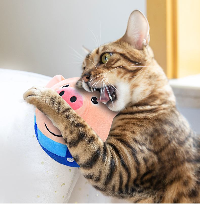 2025年10月15日 第60页