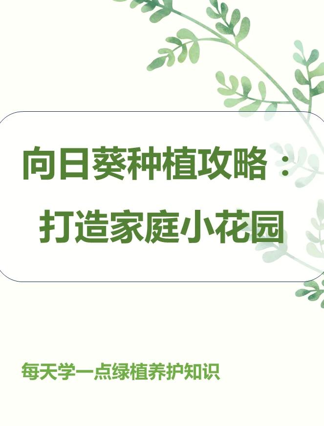 疯狂播种攻略(疯狂播种大冒险 v100 安卓版)