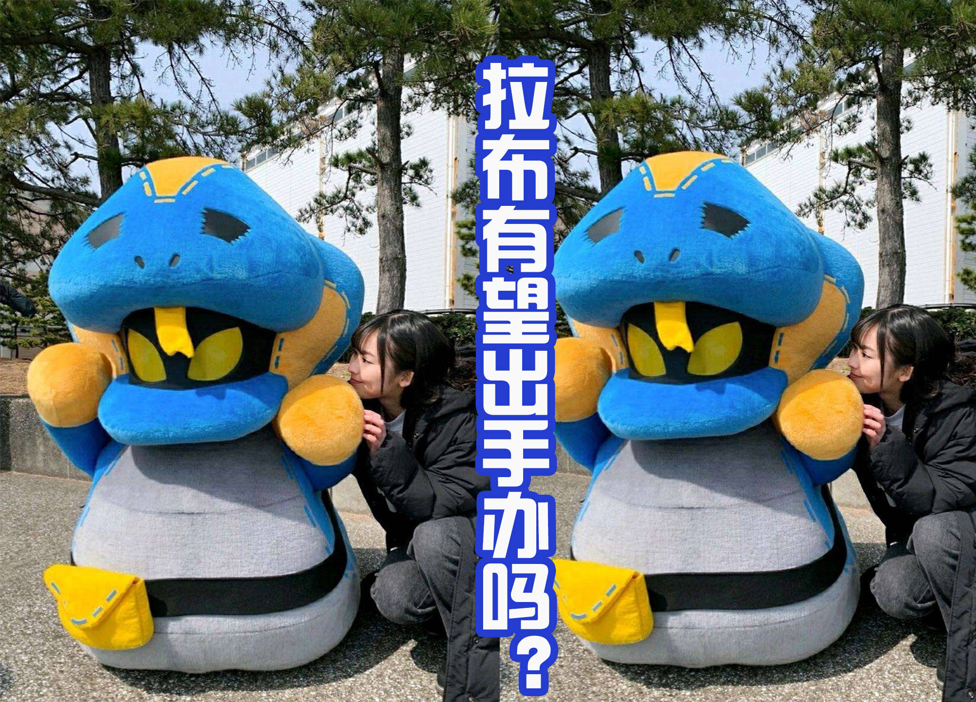 呆萌骑士攻略(呆萌骑士攻略大全)