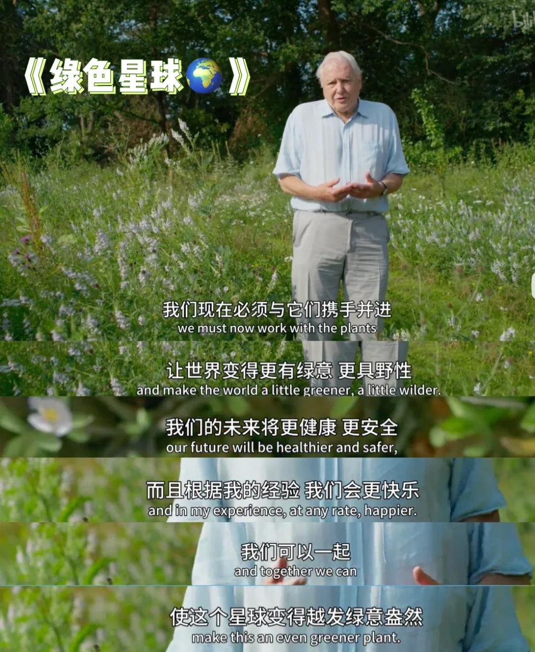 绿色星球攻略(绿色星球攻略视频)