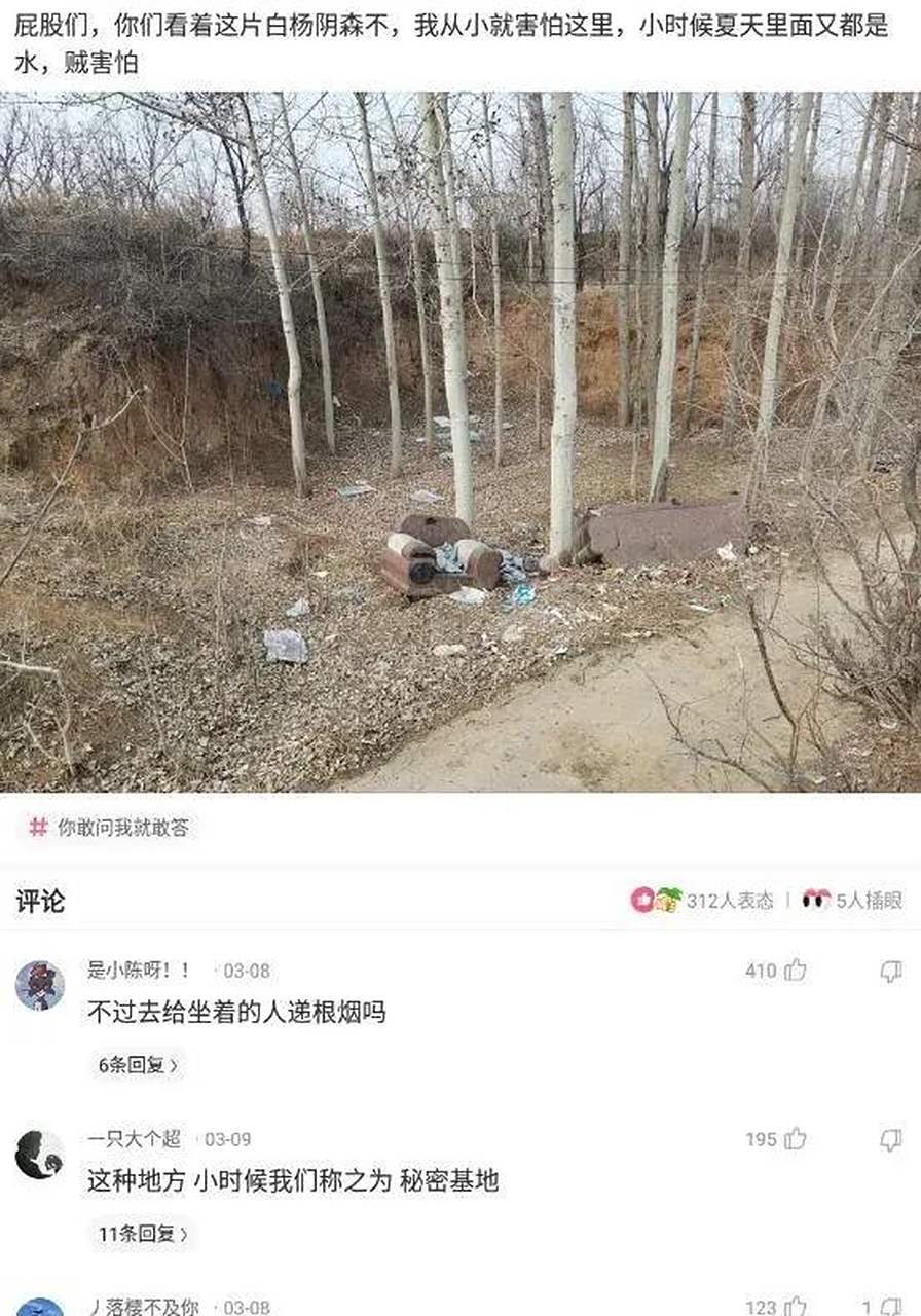 夏日的恐惧破解版(可怕的夏日破解版无cd)