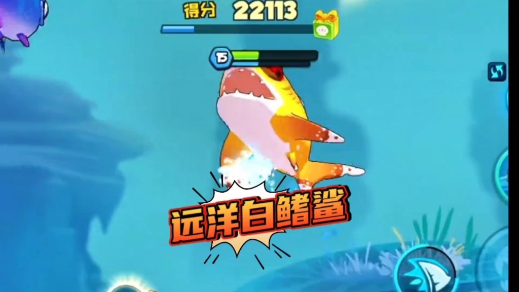鲨鱼游戏攻略其鱼(鲨鱼游戏解说百家号)