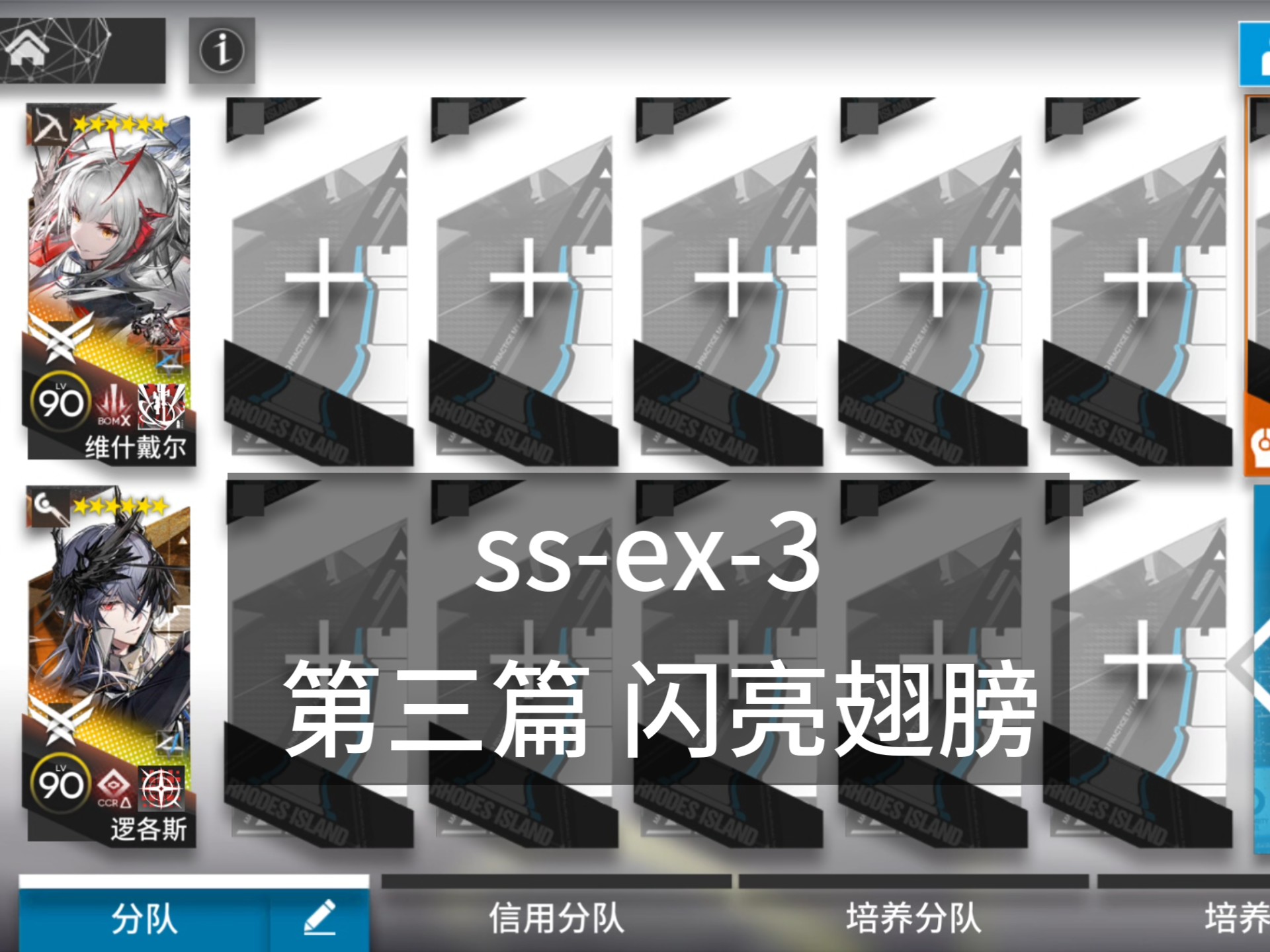 母鸡用什么ss武器(母鸡100级装备选择)