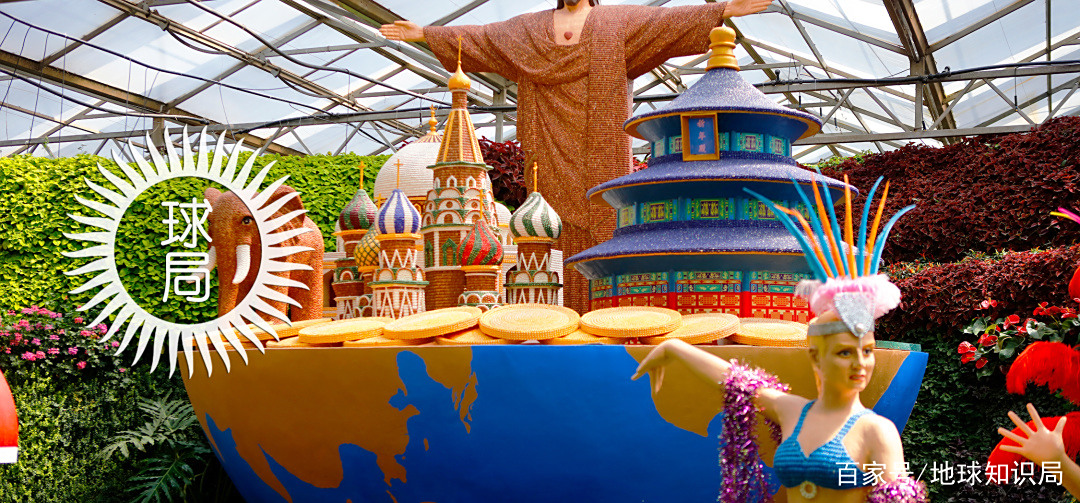 疯狂的蔬菜3破解版(疯狂蔬菜学校适合几年级)