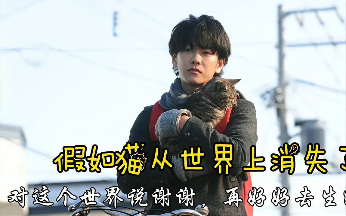消失的世界7攻略(消失的世界第六版怎么玩)