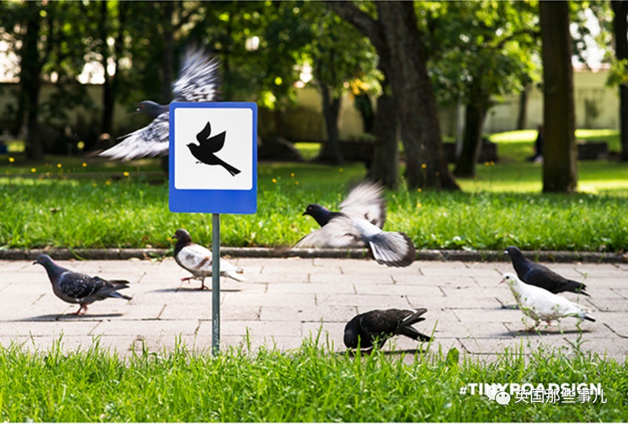 救援可爱小斑马攻略(斑马救援队的口号和精神)