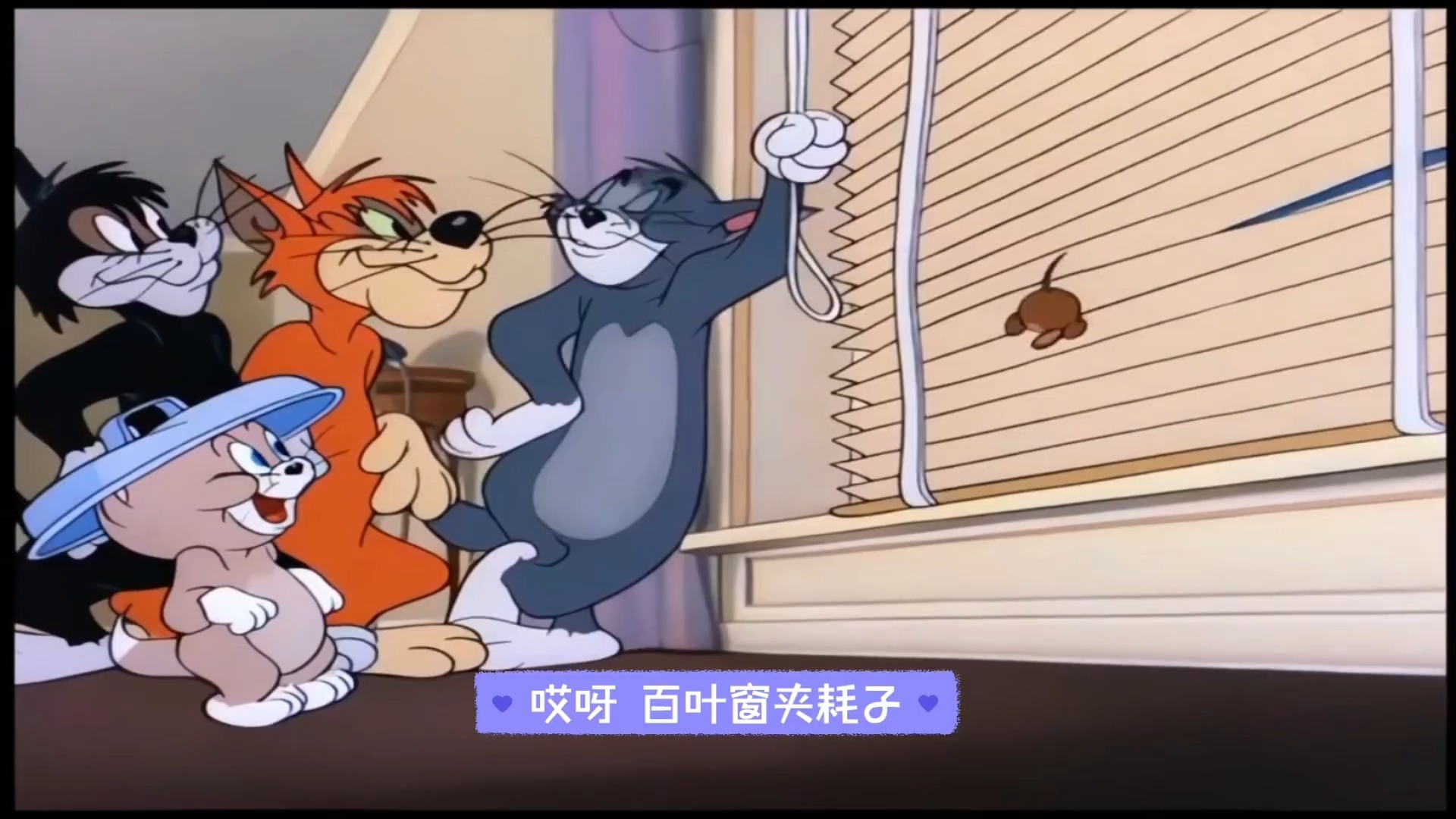 猫和老鼠冬天的那个版本(猫和老鼠冬天最感人的一集)