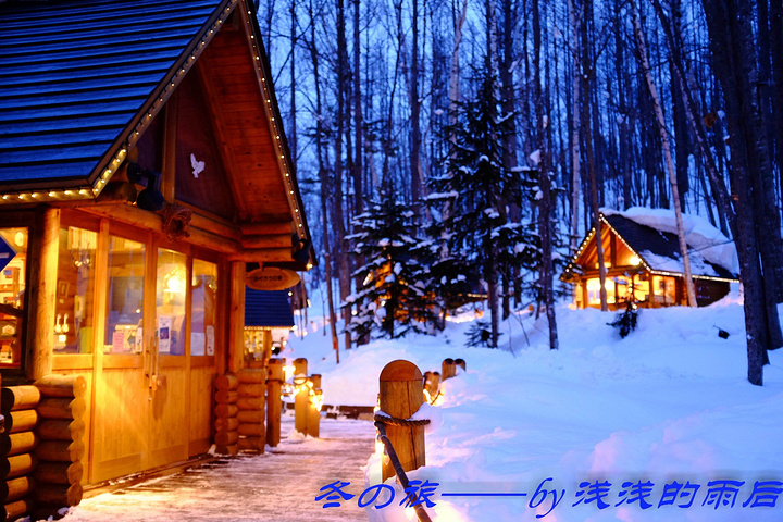 森林精灵游戏攻略(森林精灵游戏攻略视频)