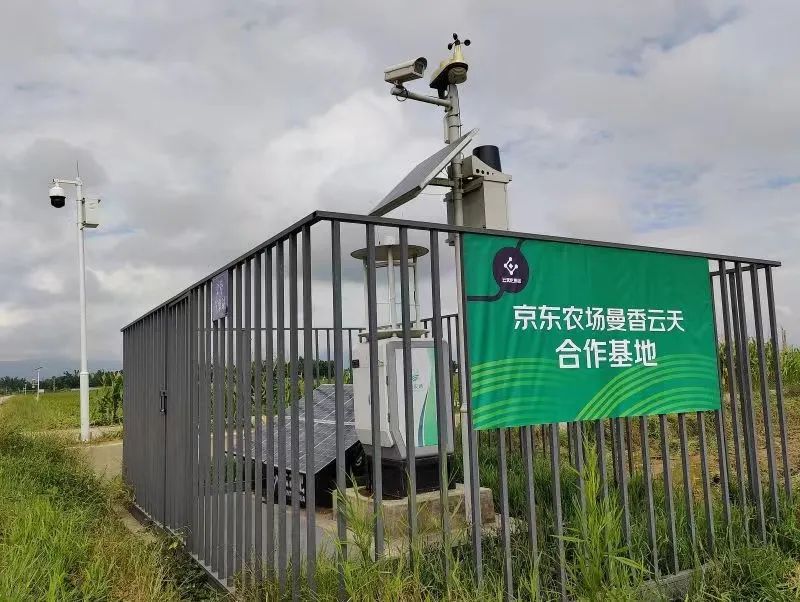 保卫粮食攻略(保卫粮食攻略游戏)