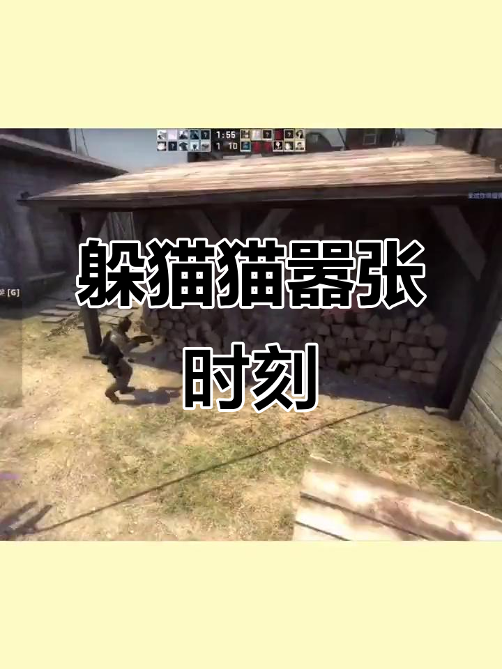 csgo破解版躲猫猫(csgo躲猫猫在线下载)