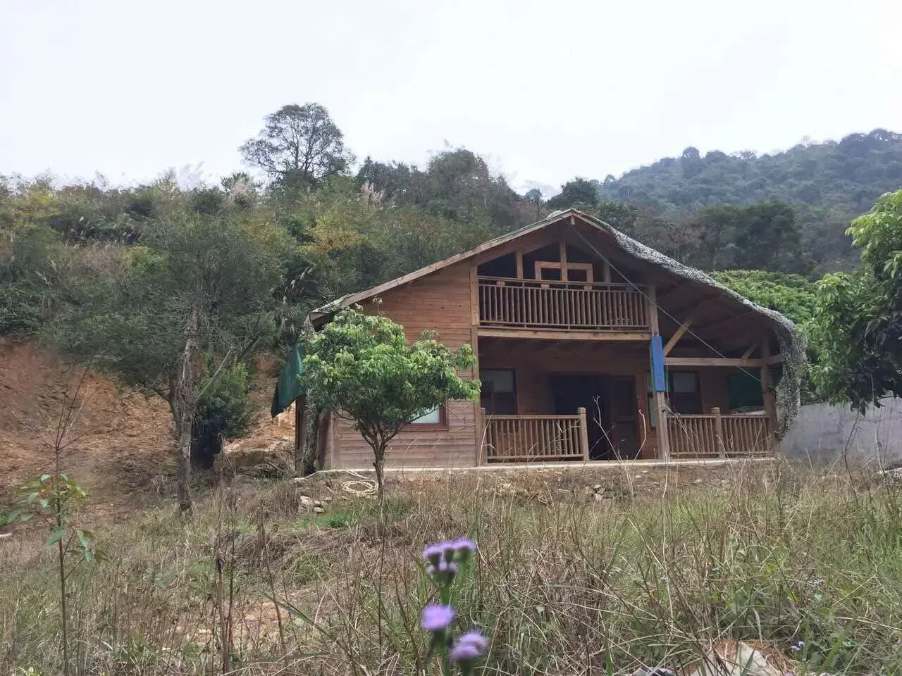 2025年10月24日 第50页