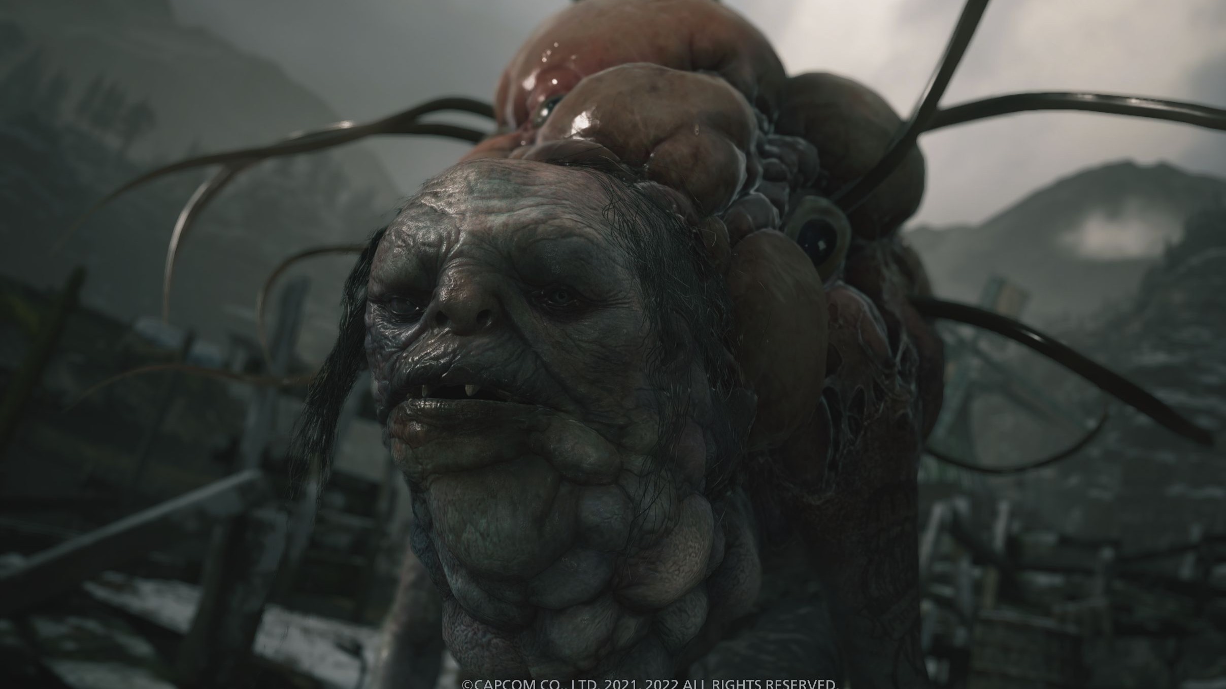 诡异村庄游戏图片攻略(诡异村庄小游戏攻略视频)