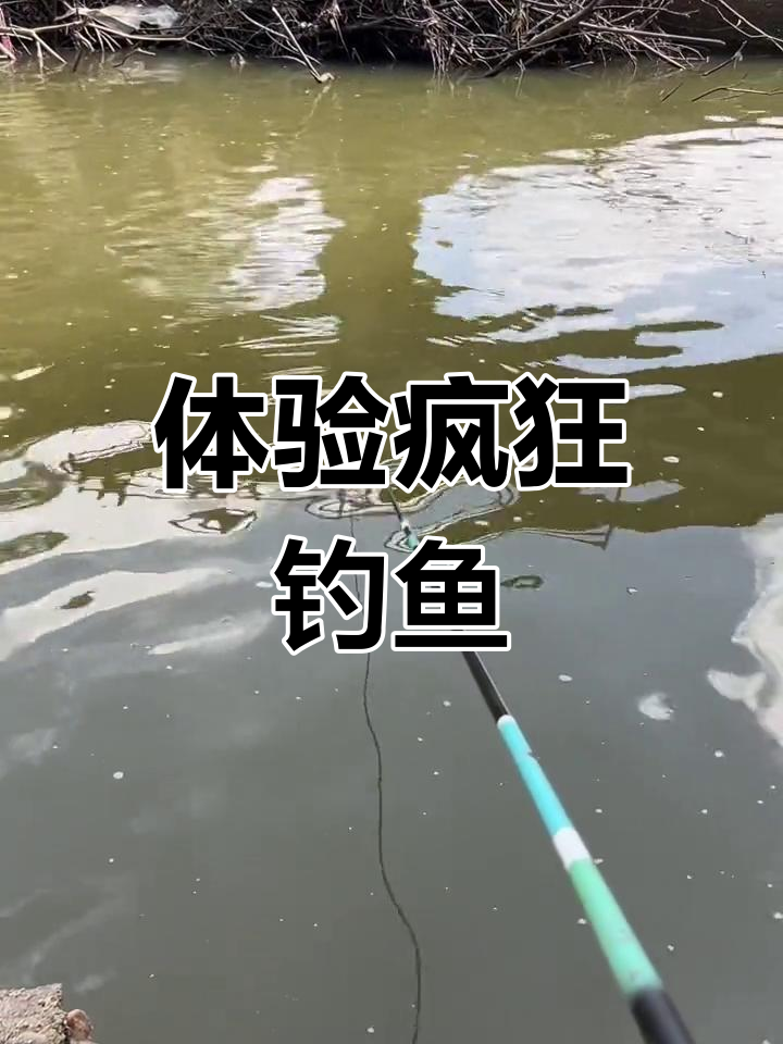 疯狂钓鱼破解版游戏.(疯狂钓鱼破解版游戏中文)