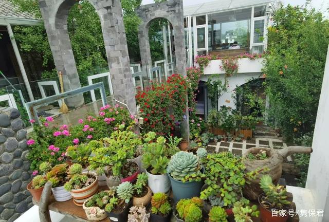 逃离秋季花园攻略(逃离秋季花园攻略图文)