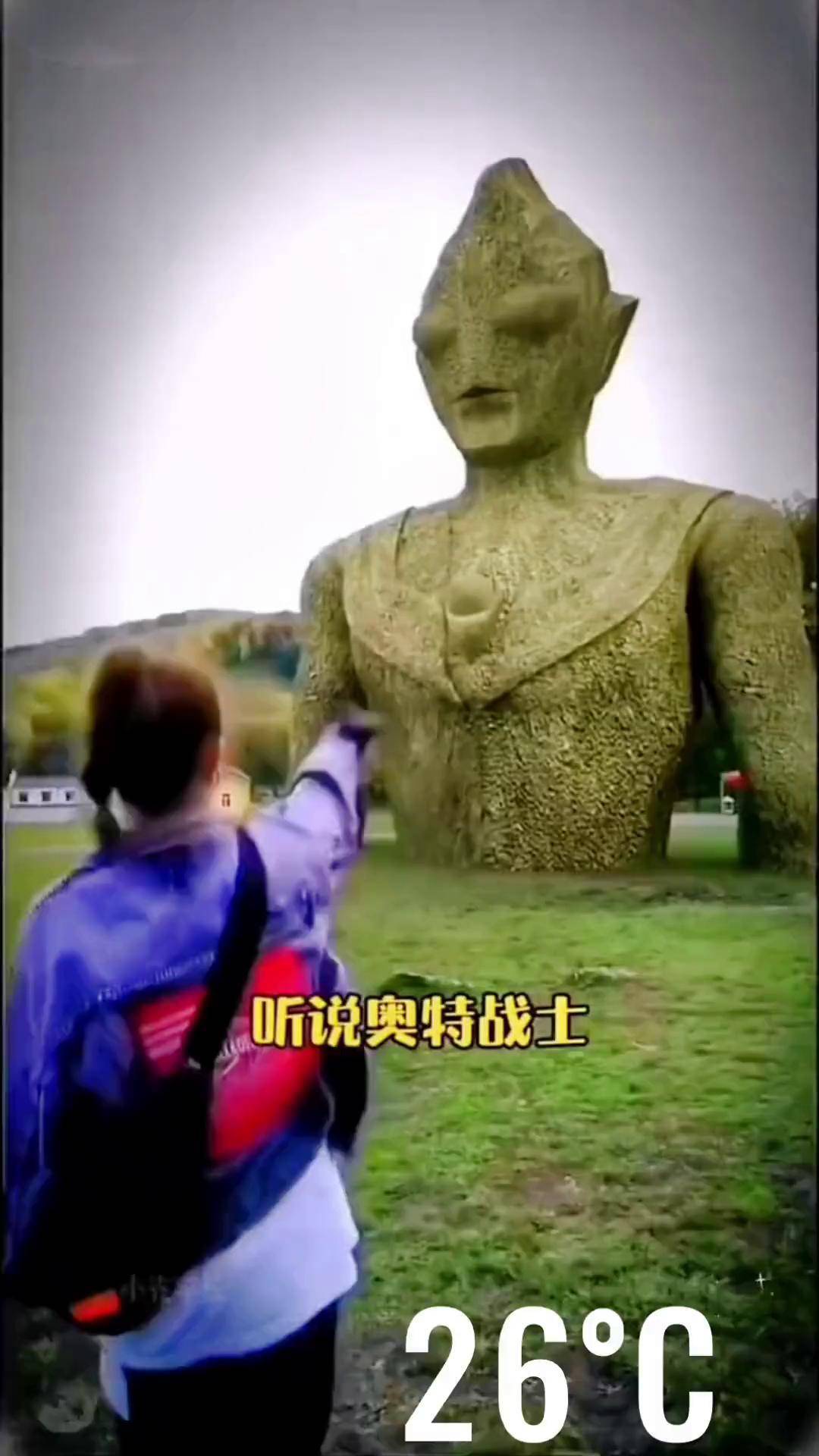 2025年10月26日 第19页