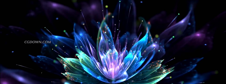 梦幻五彩花灵(梦幻西游花灵怎么获得)