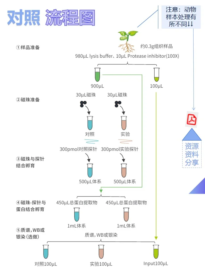 dna游戏攻略(游戏dna什么意思)