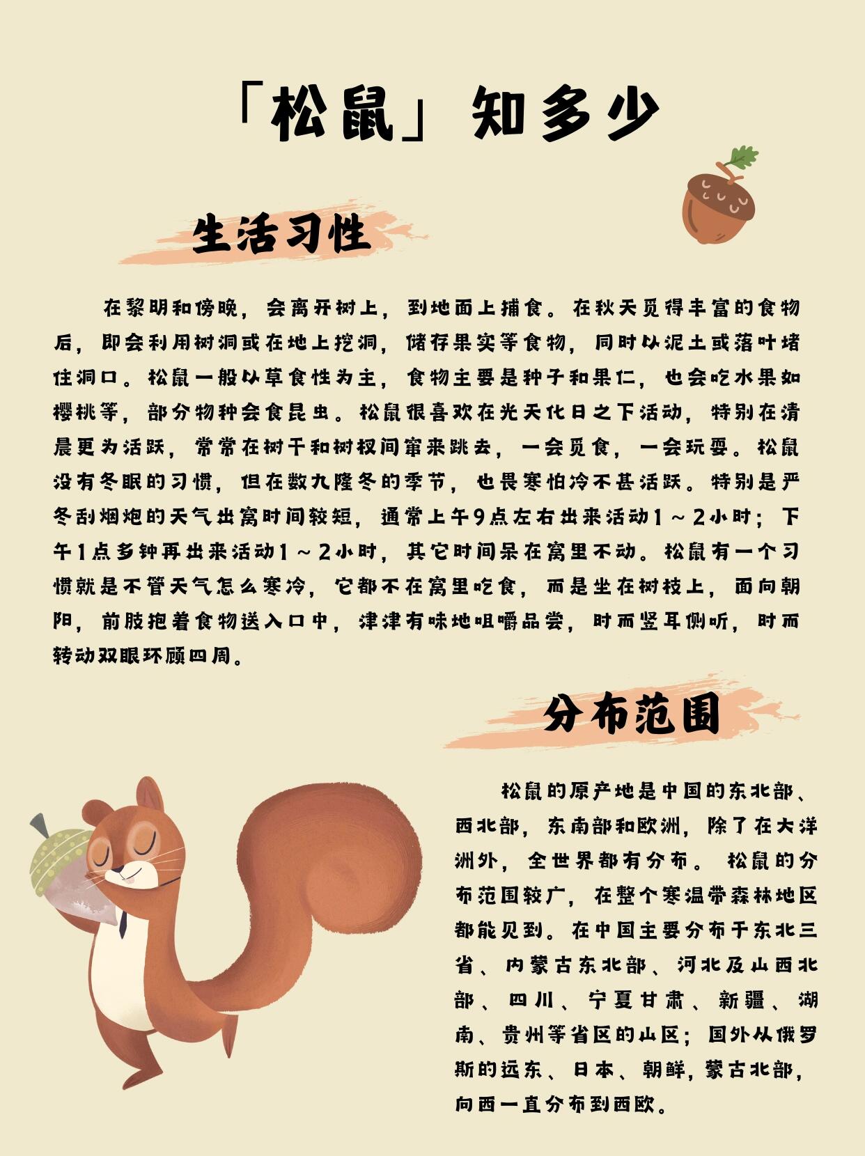 松鼠2代攻略(松鼠可进阶2阶资质是多少)