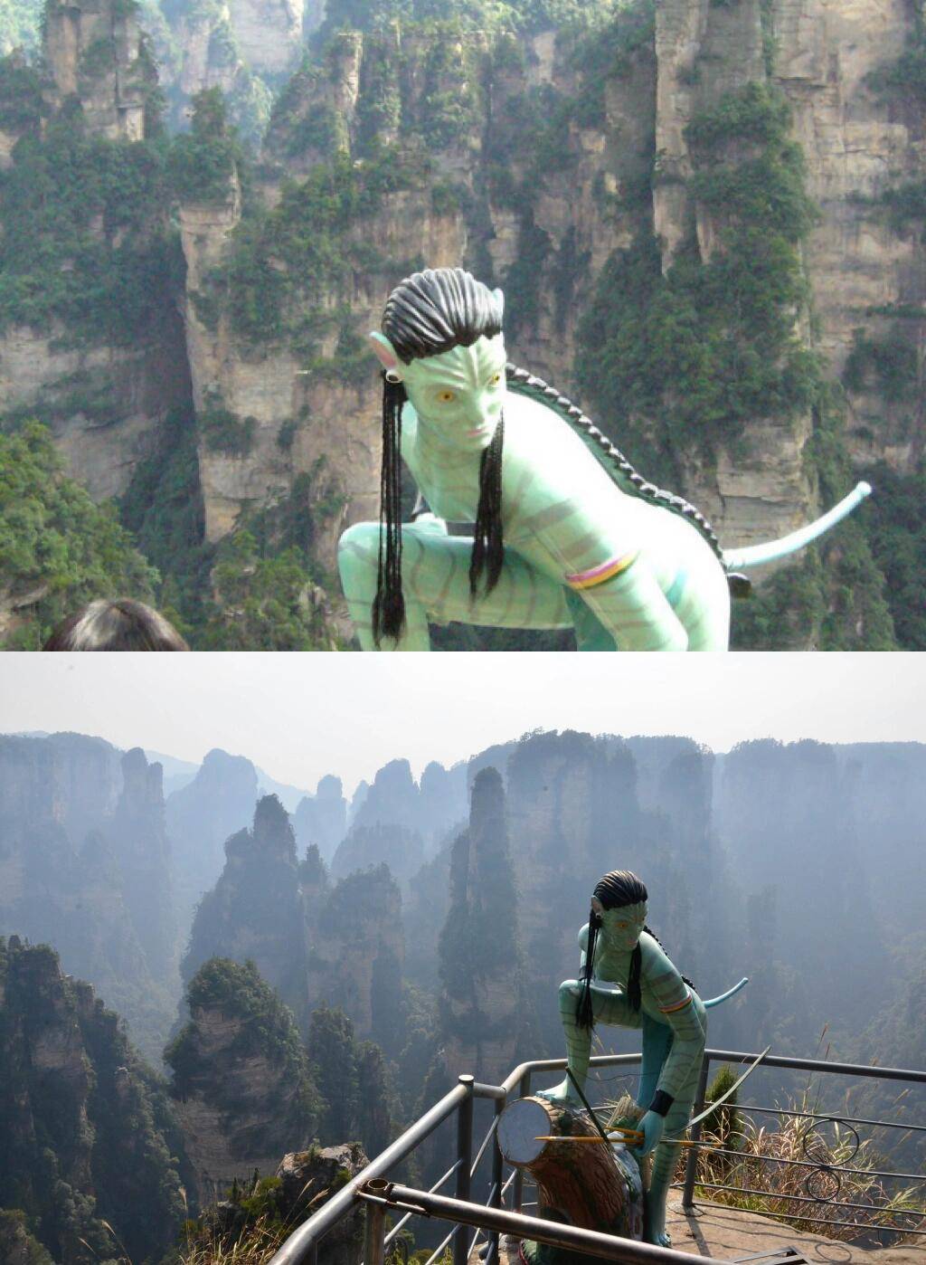 森林的召唤攻略(森林召唤boss)