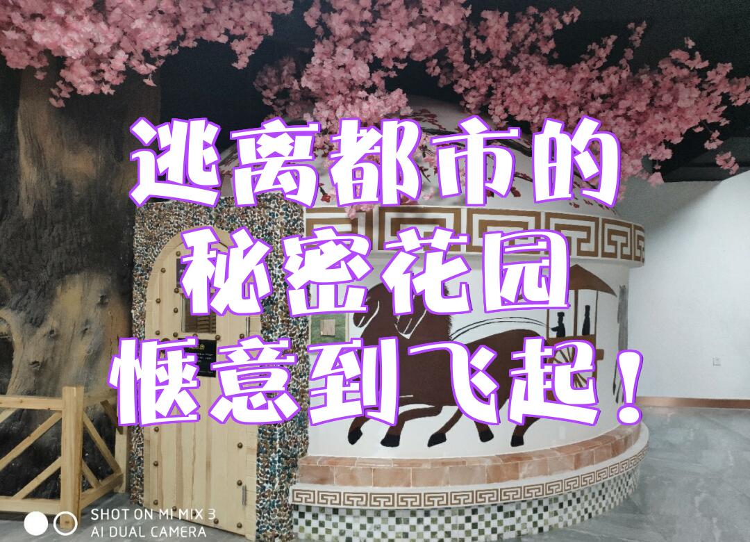 女孩逃离花园攻略(女孩逃离花园攻略视频)