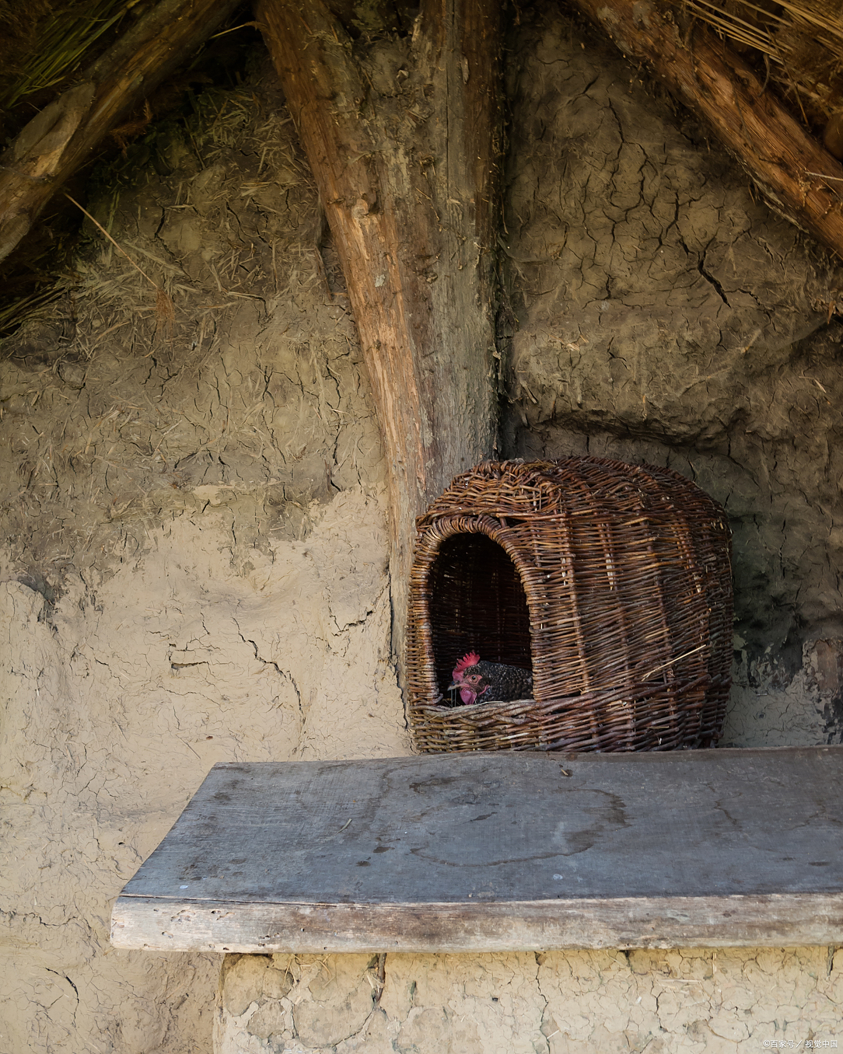 遗弃的老宅逃生攻略(逃离私人住宅游戏攻略)