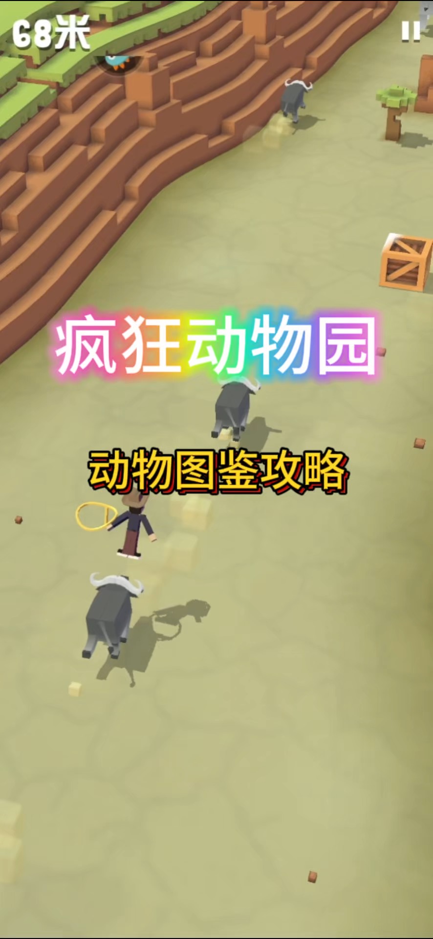 动物园逃亡攻略(动物园逃亡攻略视频)