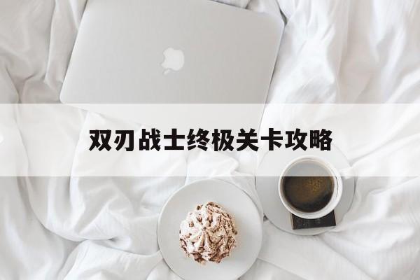 双刃战士终极关卡攻略(双刃战士终极关卡攻略大全)