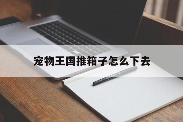 宠物王国推箱子怎么下去(宠物王国所有支线任务及过法)